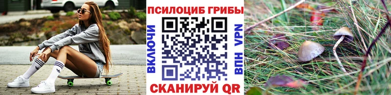 Псилоцибиновые грибы мицелий  Купить закладки  Кирсанов 