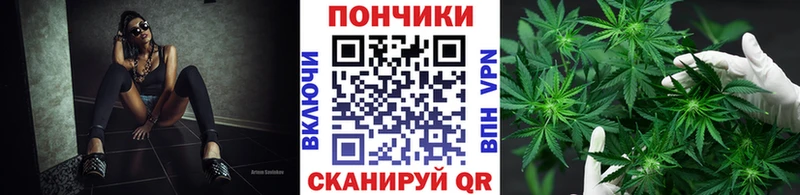 МАРИХУАНА OG Kush  Купить  Кирсанов 